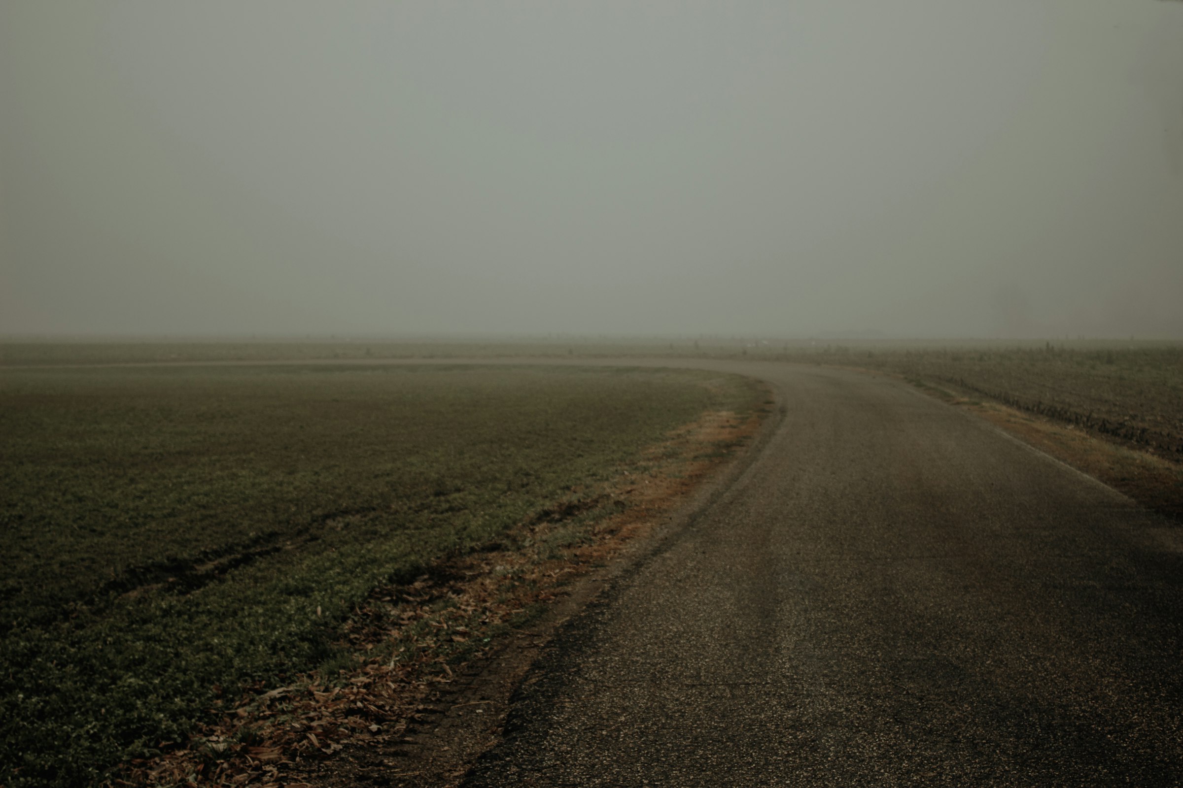 A quiet path curving across flat, fog-covered fields