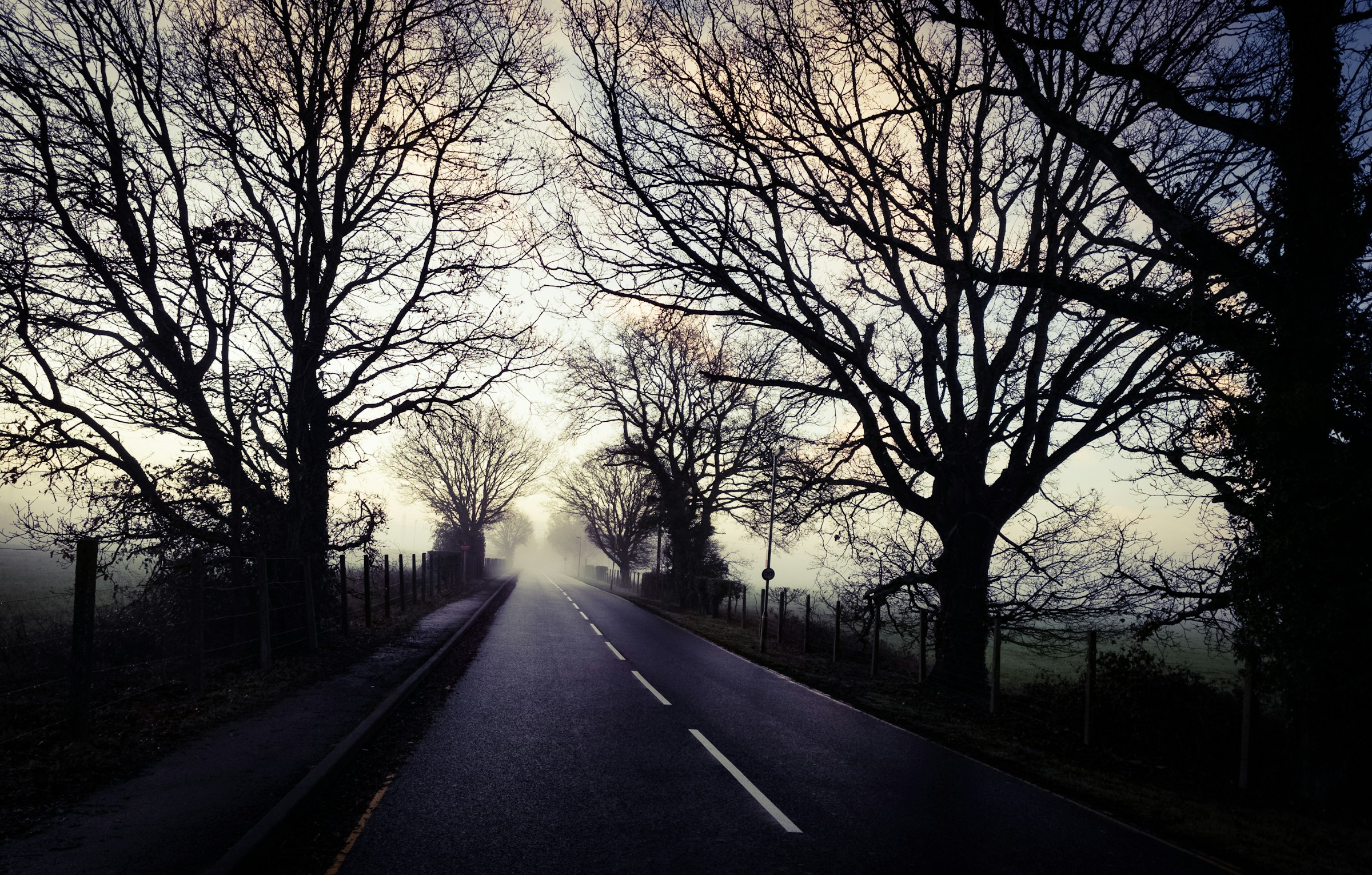 A dark, tree-lined country road disappearing into morning mist